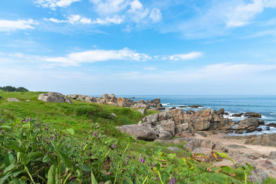 Tanesashi kaigan coast. the coastline includes sandy and rocky beach, grassy meadows scenic sea view