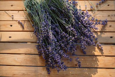 Purple flowering plants on hardwood floor