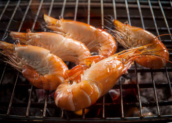 Close-up of meat on barbecue grill