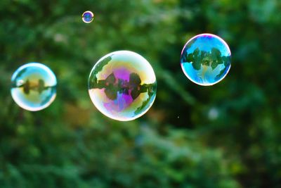 Close-up of bubbles against trees