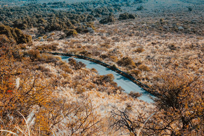 High angle view of lake