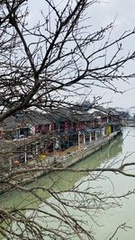 Bare trees by canal against sky in city