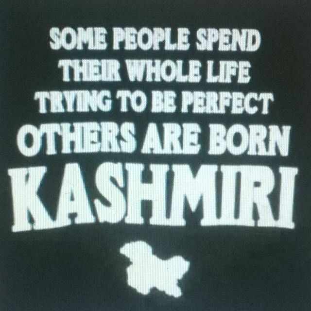 Proud_to_b_kashmiri