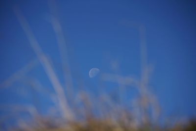 Low angle view of moon against blue sky