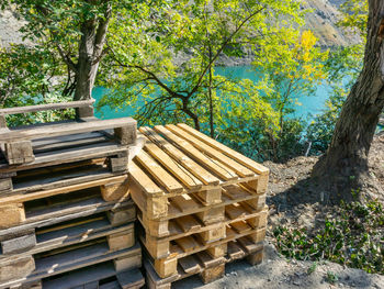 Stack of logs in forest