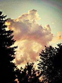 Low angle view of trees against cloudy sky