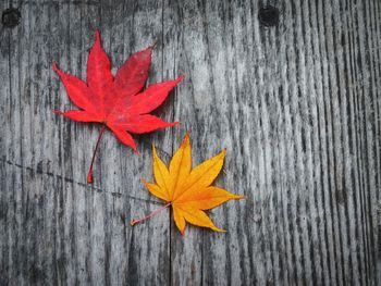 Close-up of orange maple leaves on wooden table
