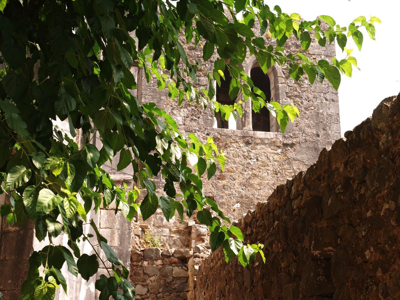 Leiria castle