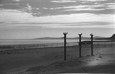 Scenic view of beach against sky