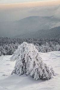 Scenic view of snowcapped mountains against sky during winter