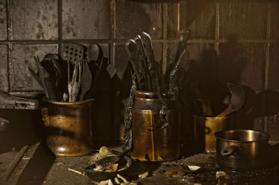 Plants on table against wall