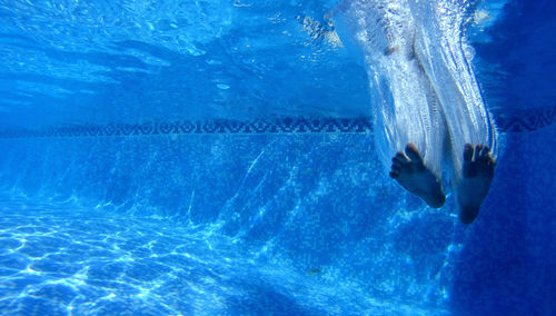 Close-up of person swimming underwater