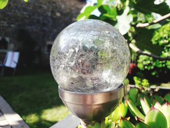 Close-up of crystal ball on plant in garden