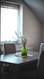 Potted plant on table at home