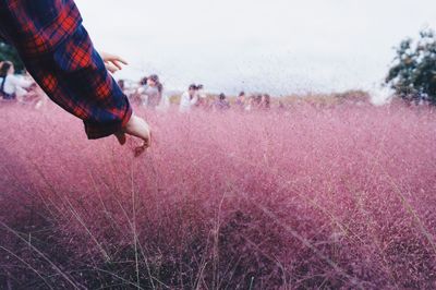Low section of people on shore against sky