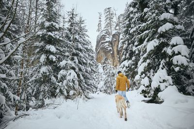 Rear view of man walking with dog on snow covered land amidst forest