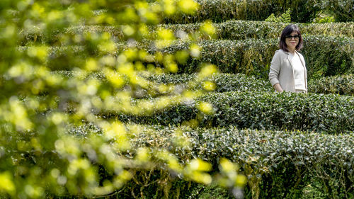 Woman standing in the tea tree field