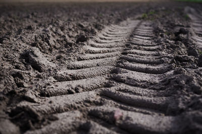 Detail shot of sand