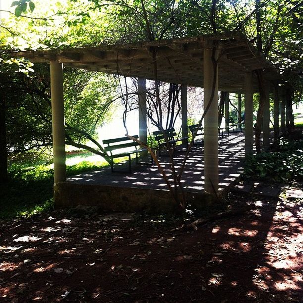 tree, built structure, architecture, wood - material, sunlight, shadow, empty, tranquility, growth, bench, absence, railing, nature, day, wooden, no people, branch, park - man made space, outdoors, wood