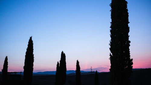 Silhouette trees against clear sky at sunset