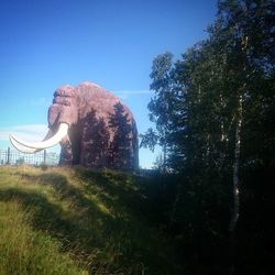 Scenic view of landscape against clear sky