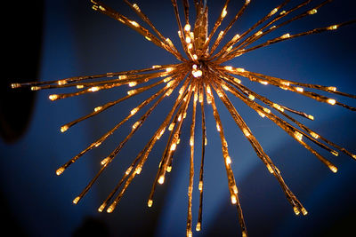 Low angle view of firework display in sky at night