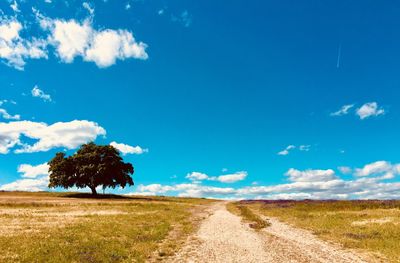 Scenic view of land against sky