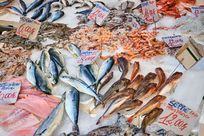 Fresh fish and seafood for sale at the porta nolana market in naples, italy