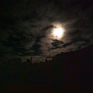 Low angle view of moon at sunset