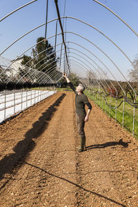 Mature farmer checking irrigation equipment in greenhouse