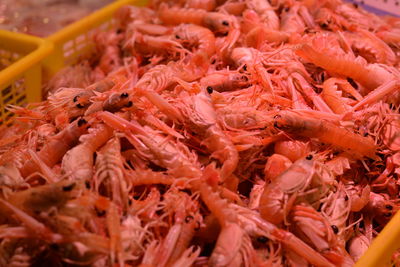 High angle view of crab for sale at market stall