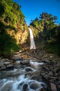 Scenic view of waterfall in forest against clear sky