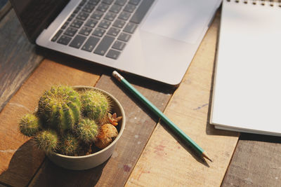 High angle view of succulent plant on table