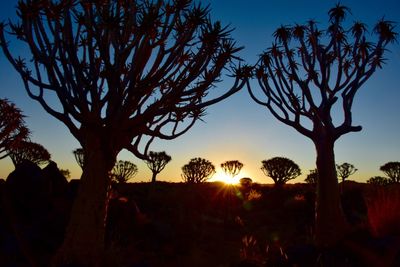 Silhouette trees on field against sky at sunset