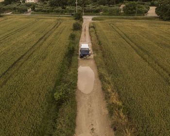 Scenic view of agricultural field