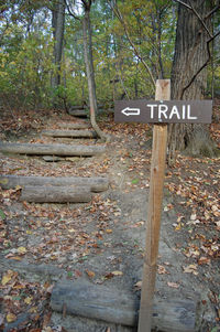 Road sign by tree in forest during autumn