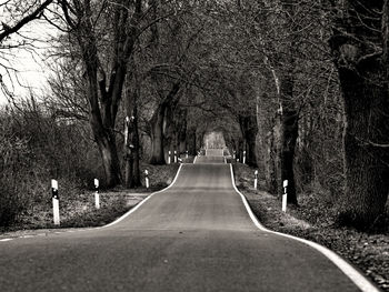 Road amidst trees in forest