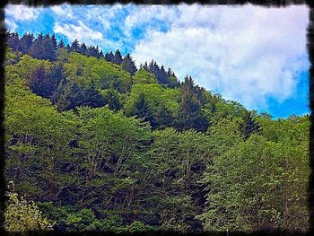 Scenic view of landscape against cloudy sky