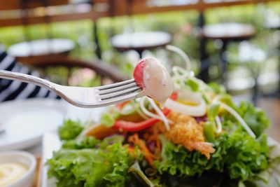 Close-up of food served on table