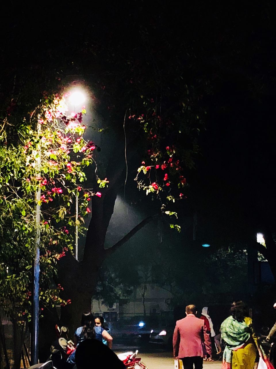 REAR VIEW OF PEOPLE WALKING ON ILLUMINATED STREET