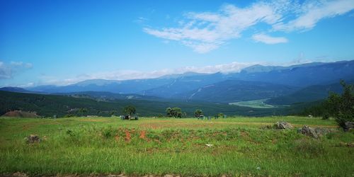 Scenic view of field against sky