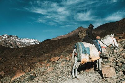 Horse standing on rock against sky