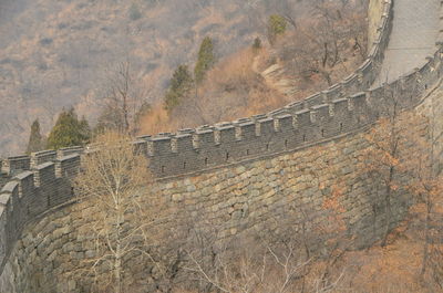 High angle view of plants on wall