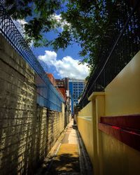 Walkway amidst trees in city against sky