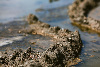 Close-up of rock