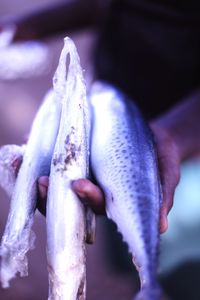 Close-up of hand