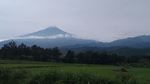 Scenic view of field and mountains against sky