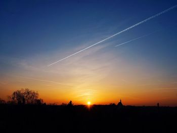 Silhouette of trees at sunset
