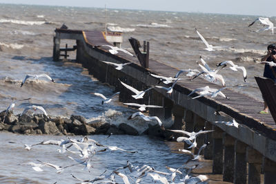 Seagulls flying by pier over sea