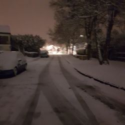 Snow covered road along trees at night